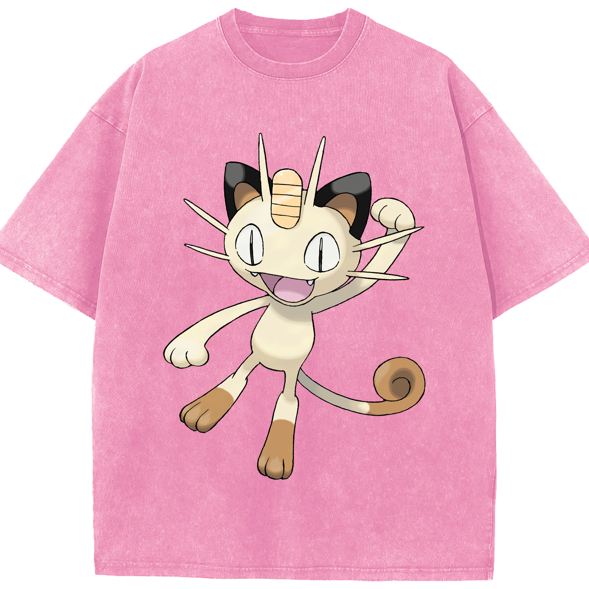 （画像用） ポケットモンスター Pokémon 綿100% ヴィンテージ風 半袖Tシャツ（フロントプリント）